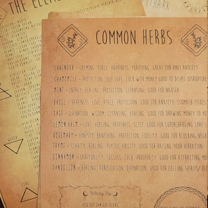 Kelly lade till en bild av sitt köp