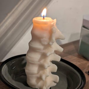 Spine Gothic Soy Candle by The Blackened Teeth | Gothic Home Decor | Handmade by Artisans