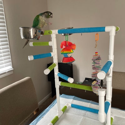 THE INDULGER Tabletop-version: Exciting Bird Play Gym and Play Stand ...