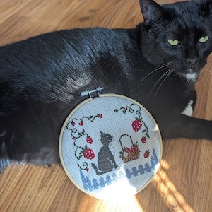 Jackie added a photo of their purchase