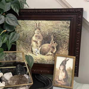 Dawn added a photo of their purchase