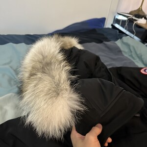 Canada goose leon nicaragua online
