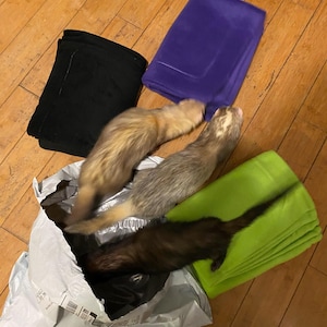 Stacey added a photo of their purchase