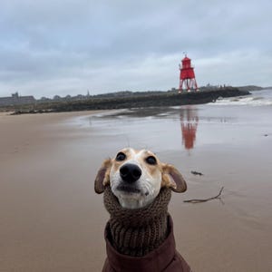 KAREN ha añadido una foto de su compra