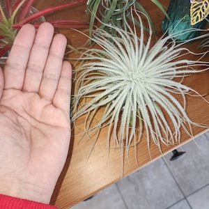 Deirdre added a photo of their purchase