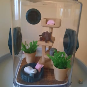 Meave added a photo of their purchase