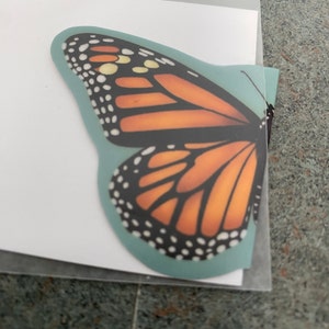 Ellen added a photo of their purchase