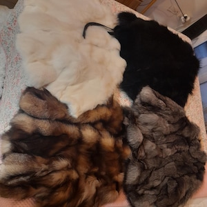 Isabela added a photo of their purchase