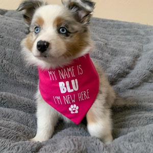 Shauna added a photo of their purchase