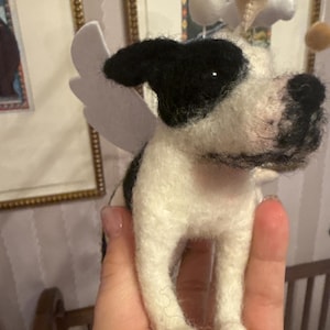 Taylar added a photo of their purchase