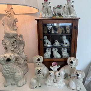 Anne added a photo of their purchase