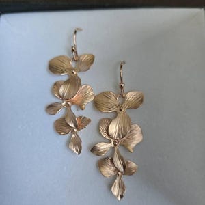 Cory added a photo of their purchase