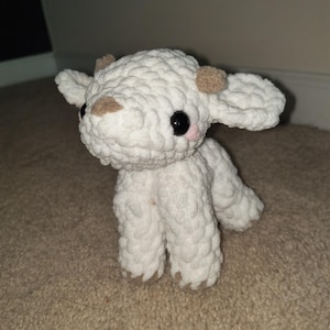 Brynnlee added a photo of their purchase