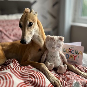 Wal added a photo of their purchase