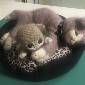 Jill added a photo of their purchase