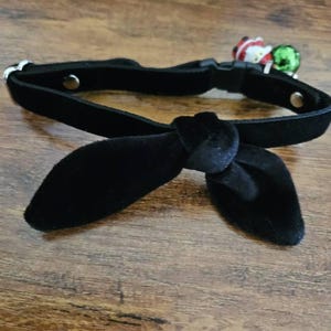 Susan added a photo of their purchase