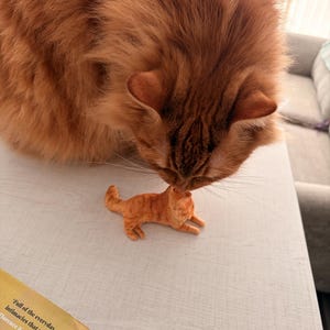 Cassie adicionaram uma foto da sua compra