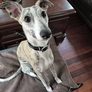 Julie added a photo of their purchase