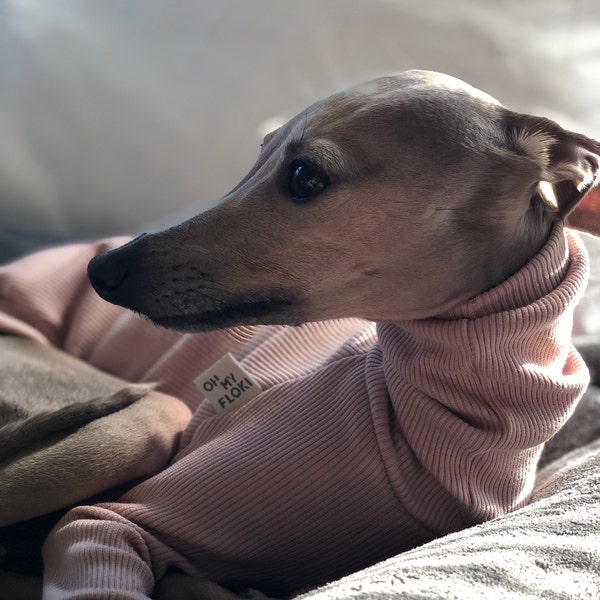 Italian Greyhound Whippet Iggy Winter Sport Sweatshirt