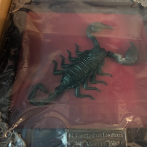 Jaime added a photo of their purchase