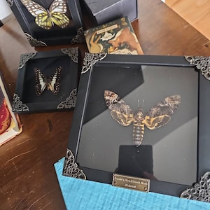 Comprador de Etsy ha añadido una foto de su compra