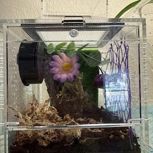 Hannah added a photo of their purchase