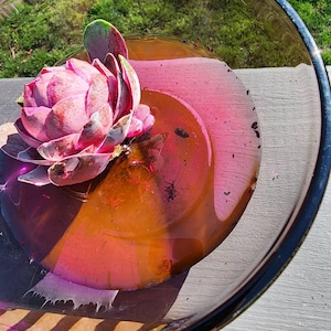 Brixen hat ein Foto des gekauften Artikels hinzugefügt