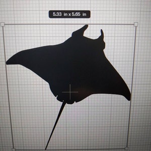 Lyn added a photo of their purchase
