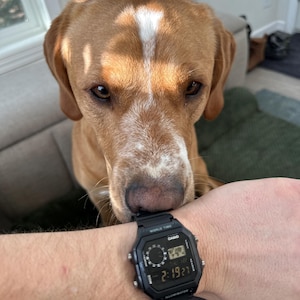 Travis added a photo of their purchase
