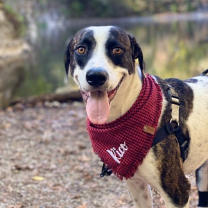 Frayed Buffalo Plaid Dog Bandana Red Black Check Puppy Scarf - Etsy