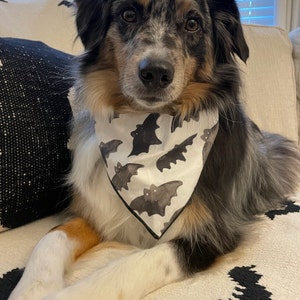 Tia added a photo of their purchase