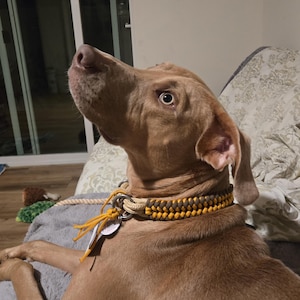 Megan added a photo of their purchase