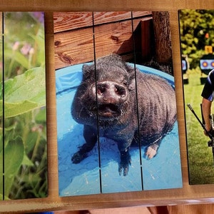 Kelly added a photo of their purchase