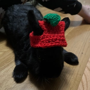 Felicia added a photo of their purchase