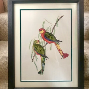 James added a photo of their purchase