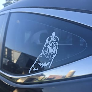 Taylor added a photo of their purchase