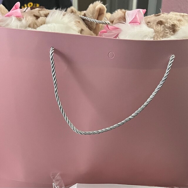 Large Pink Gift Bag With Extra Wide 2