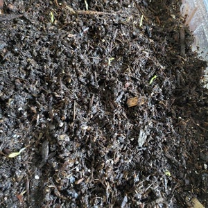 Penny hat ein Foto des gekauften Artikels hinzugefügt