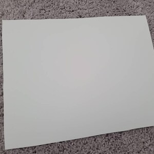 Nugget added a photo of their purchase