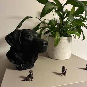 Sophie added a photo of their purchase