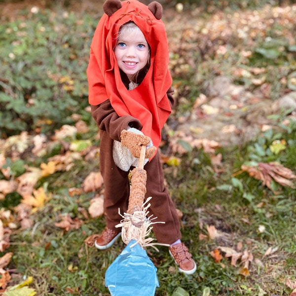 Consider the Lilies, Red Rose Turquoise Earrings, Native American ...