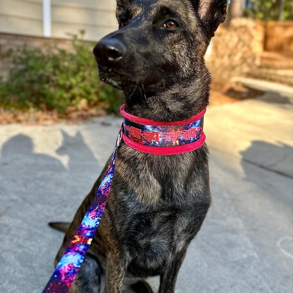 Custom Ribbon Display, Dog Award Ribbon Display Rack, Dog Rosette ...