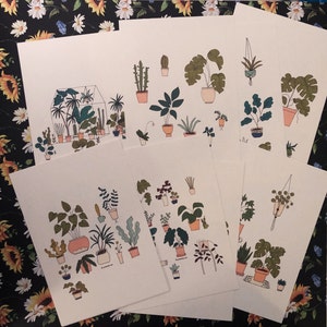 Marie added a photo of their purchase