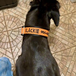 David added a photo of their purchase
