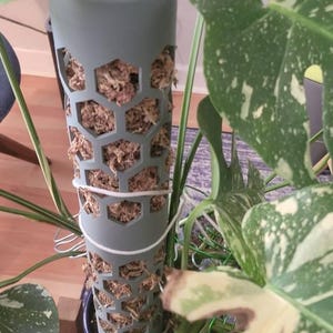 Rene added a photo of their purchase