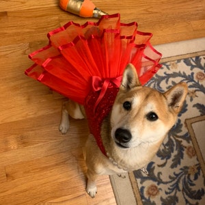 Kristi added a photo of their purchase