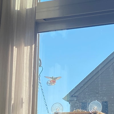 NEW Flower Single Hum-button™ With Lovely Window Spiral Holder Mini ...