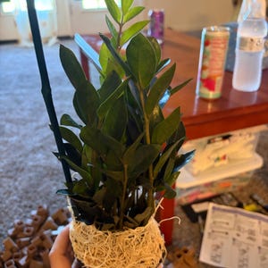 Brittany added a photo of their purchase