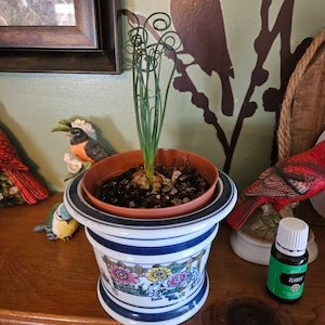 Ronald added a photo of their purchase