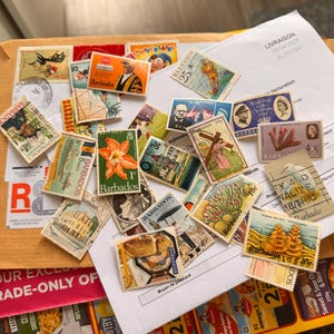 Jade hat ein Foto des gekauften Artikels hinzugefügt